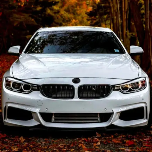 Double Line Grille For BMW 4 Series F32/F33/F36 Standard & M Sport Only – M Performance Look, Gloss Black