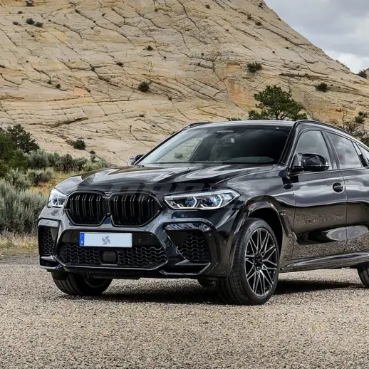 Double Line Grille For BMW X6 F96/G06 Pre-LCI Standard & M Sport & M50d & M50i & X6M Only – M Performance Look, Gloss Black