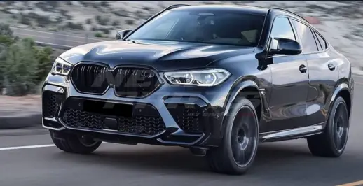 Double Line Grille For BMW X6 F96/G06 Pre-LCI Standard & M Sport & M50d & M50i & X6M Only – M Performance Look, Gloss Black