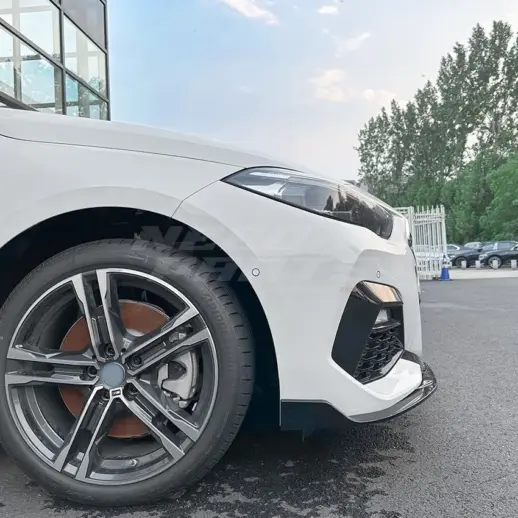 Front Splitter For BMW 2 Series F44 (2019-2024) M Sport & M235i Only – M Performance Look, Gloss Black