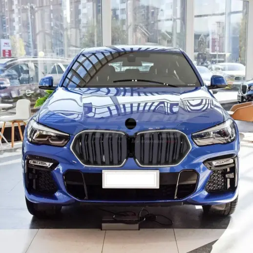 LED Double Line Grille For BMW X6 F96/G06 Pre-LCI Standard & M Sport & M50d & M50i & X6M Only – M Performance Look, Gloss Black