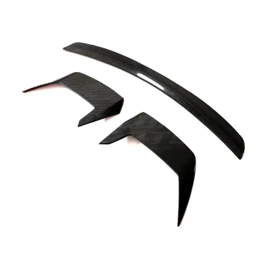 Carbon Dakspoiler 3-delig voor Audi RSQ8 4M (SUV) – TCS Spec X