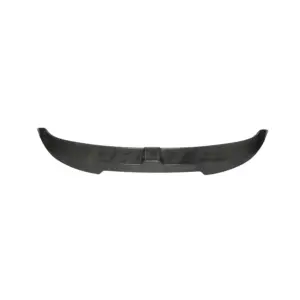 Carbon Fiber Roof Spoiler Voor Audi A3/S3/RS3 8Y (Sportback) – TCS Spec X